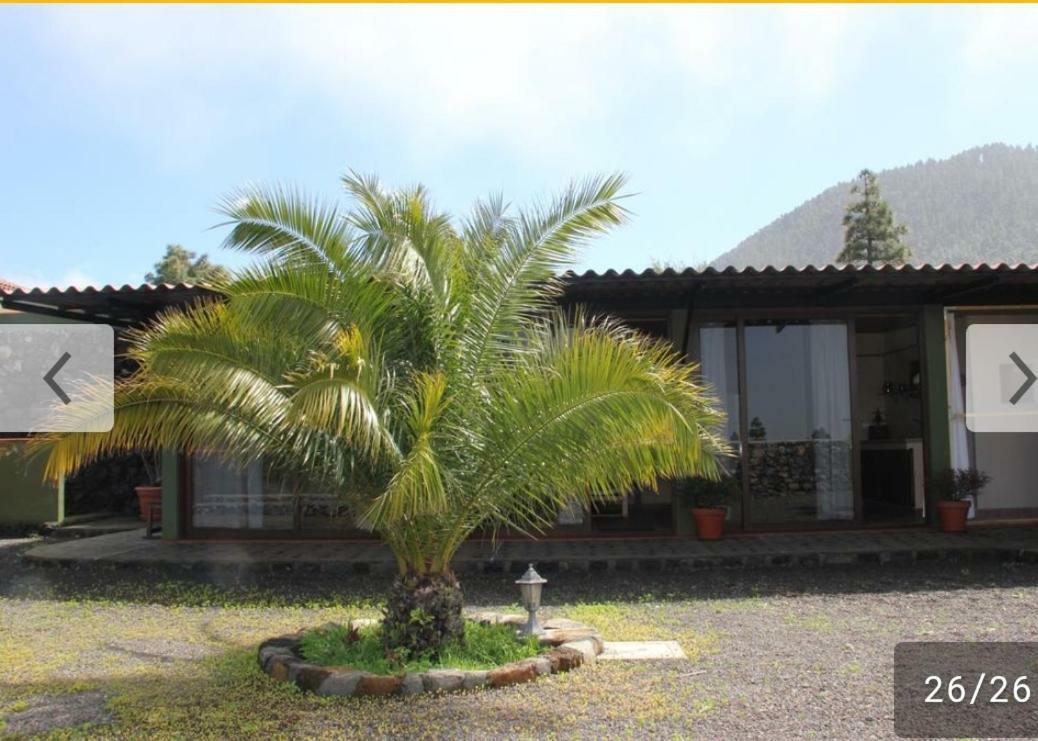 Apartamento Kiril El Paso Dış mekan fotoğraf